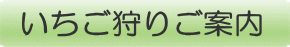 いちご狩りご案内